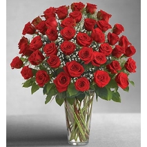 Send 2 dozens red rose to Philippines