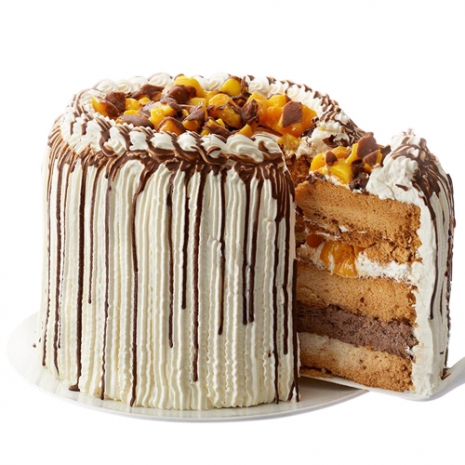 Mango Bravo by Contis Cake to Philippines