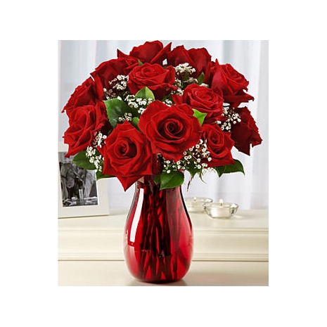 Send 12 Red Roses to Philippines